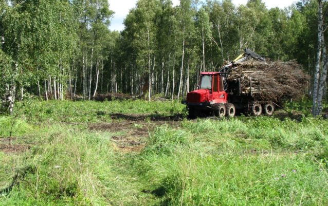 Forwarder metsas