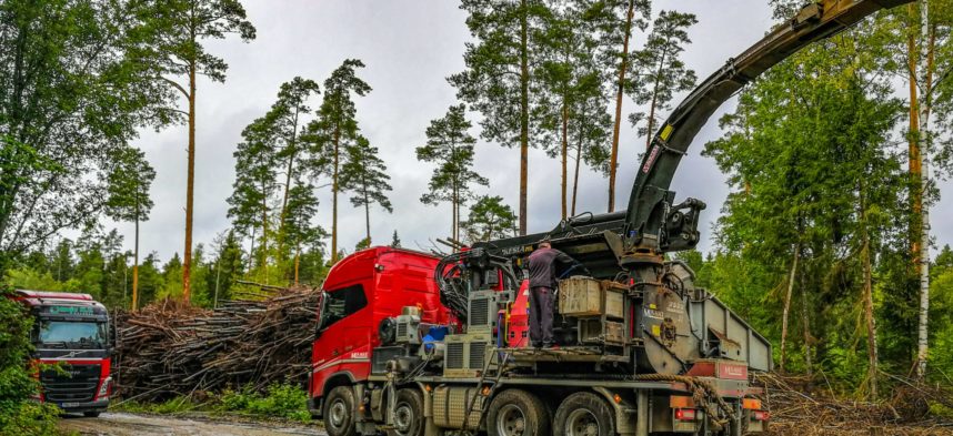Mus-max hakkur metsas