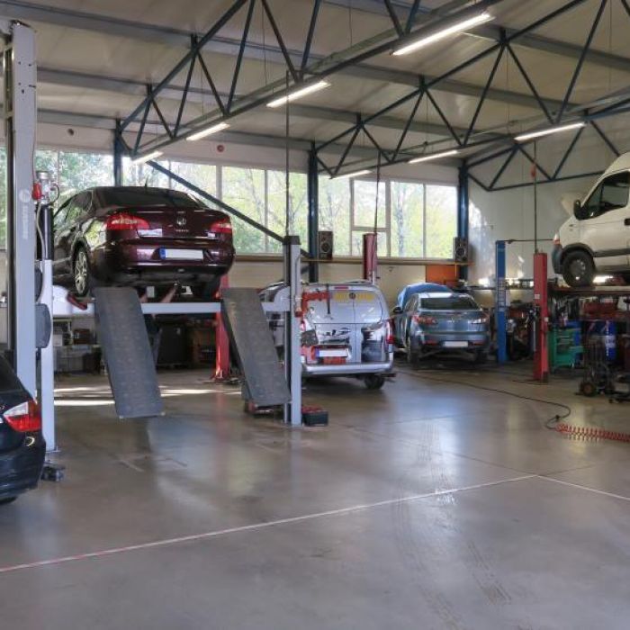 AUTOLUKS (7+ aastat koostööd ja stabiilne kasv)