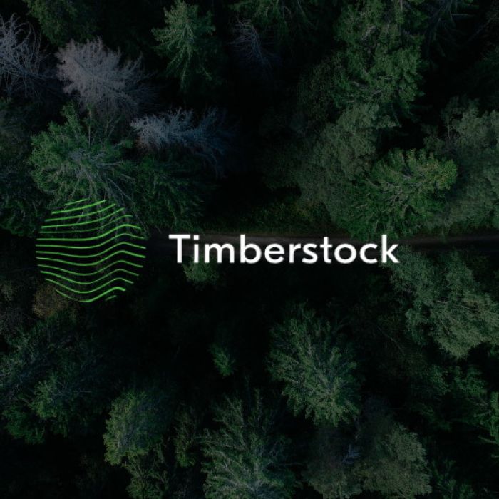 TIMBERSTOCK (koduleht visiitkaardist müügikanaliks)