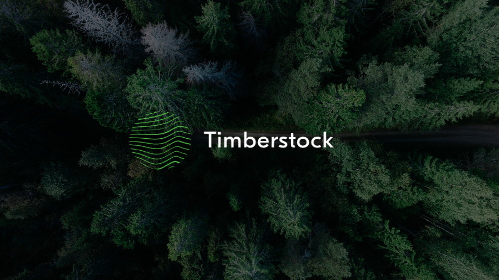 SEO Teenus - Timberstock Edulugu